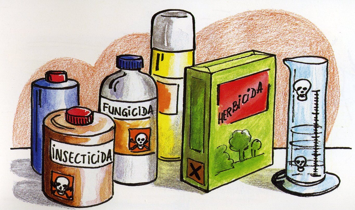  CAMPO FREMAP (59)  IMAGENES DIBUJOS JPG
